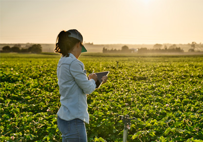 A woman with an iPad stands in front of a green field of crops. 