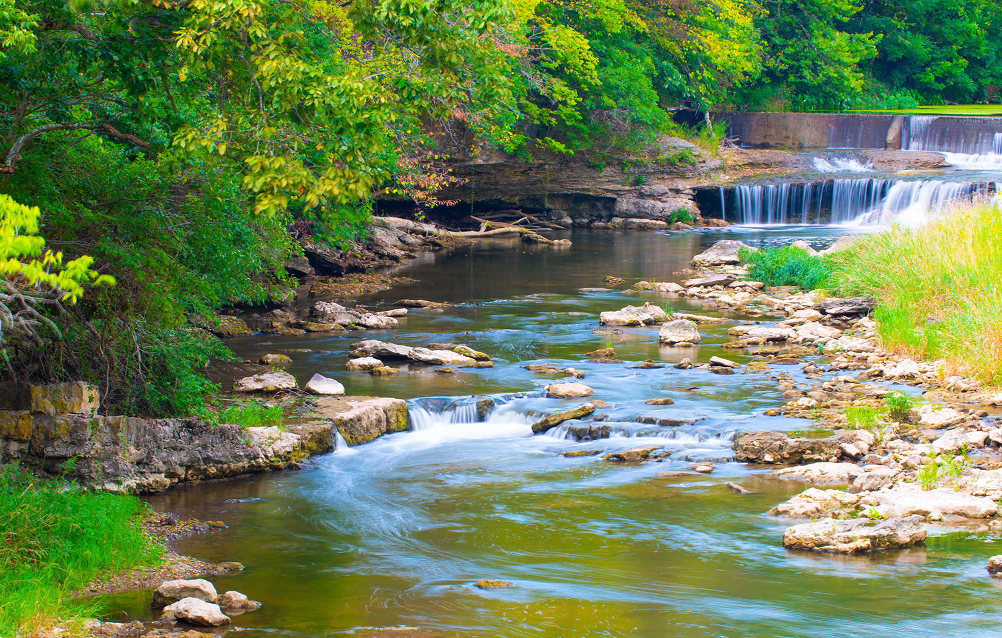 small water stream flowing over rocks through a green forest 